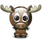 Moose