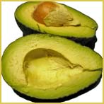 avocado