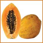 papaya