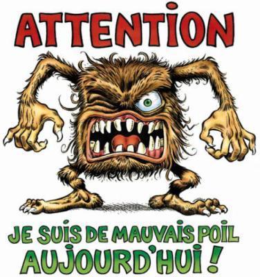 Mauvaise humeur