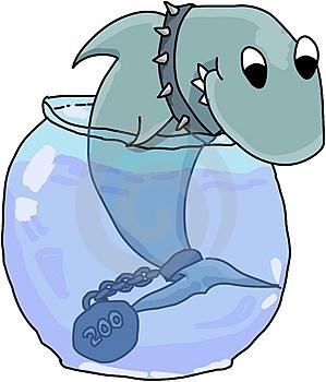 shark