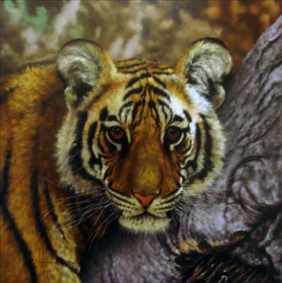 tiger cub