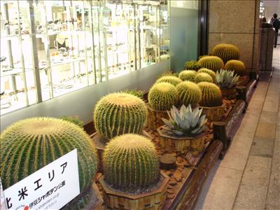 Comfortable Seats at the Ginza