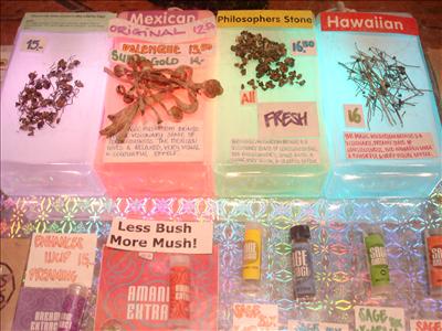 Mushrooms from Amsterdam