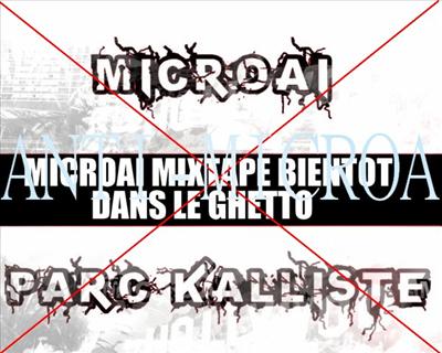 tu n'aime pas microai