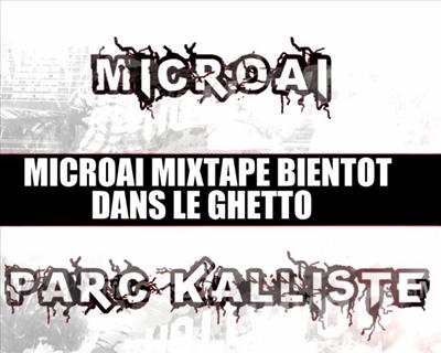 tu aime  microai