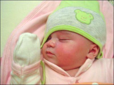 Bebek 2