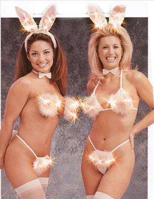 Bunny