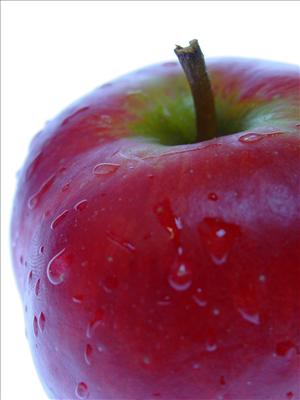 manzana del conocimiento