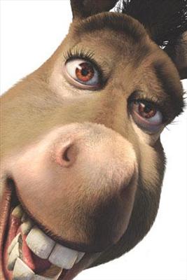 BURRO