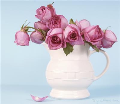 Flowers in a vase