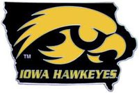 Tiger hawk