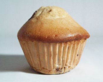 Blueberry Muffin