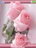 Pink Rose 7