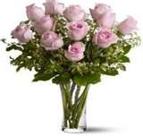 Pink Rose 12