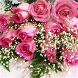 Pink Rose 2