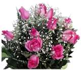 Pink Rose 14