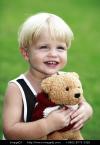 Teddy Bear