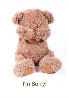 I'm Sorry teddy bear