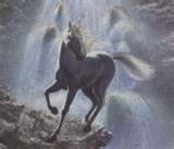 Graceful Unicorn