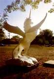 White Unicorn