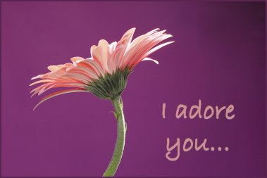 Adore