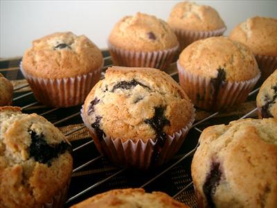 blueberry muffin