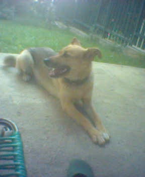 ZUZU!!