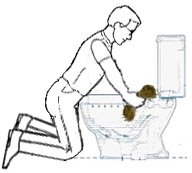 Blocked Bog