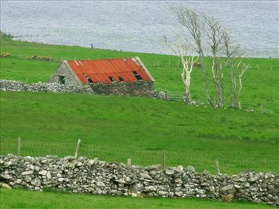 Green pastures