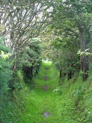 A place to walk
