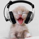 DJ Kat