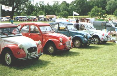 Group of 2CVs