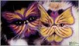 Butterfly mask cats
