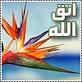 كذب المنجمون ولو صدقوا