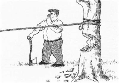 timber