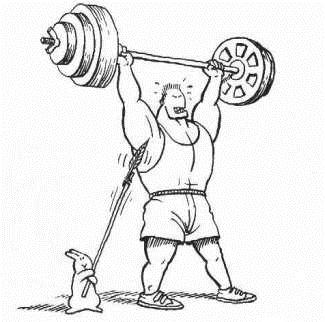 weights