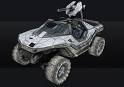 Warthog