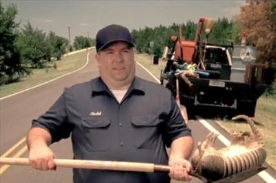 Road-Kill Detective
