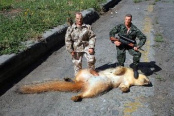 Over Grown Road-Kill 
