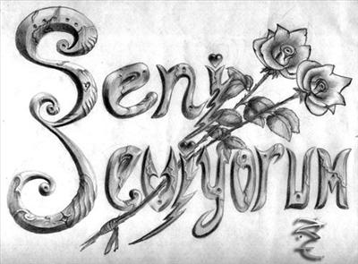SENİ SEVİYORUM