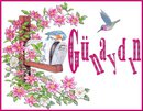 GÜNAYDIN