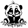 panda