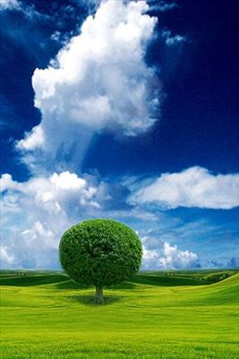 tree