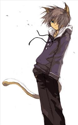 cat boy