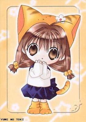 cute cat