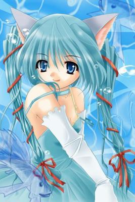 aqua cat