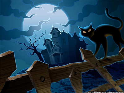 holloween cat