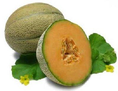 cantaloupe