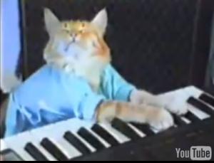Feline